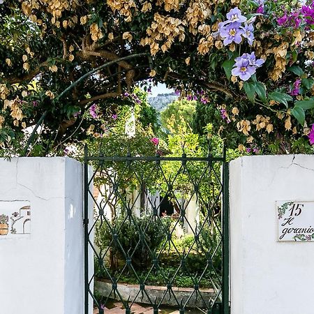 Il Geranio Bed & Breakfast อนากาปรี ภายนอก รูปภาพ